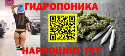индика Лесосибирск