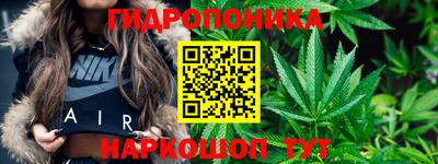 индика Лесосибирск