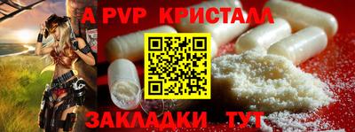 индика Лесосибирск