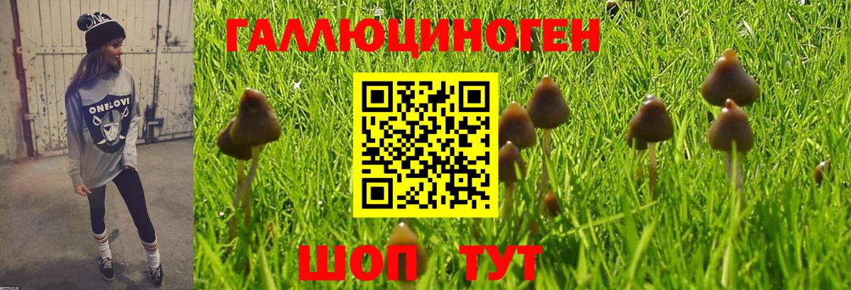 Гашиш Иваново