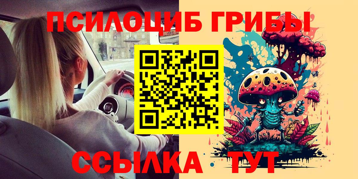 Иваново  Галлюциногенные грибы Psilocybine cubensis  Вход с VPN 